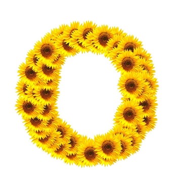 字母的花
