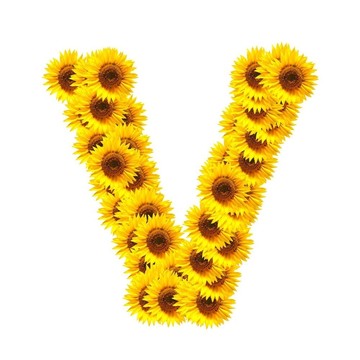 字母的花