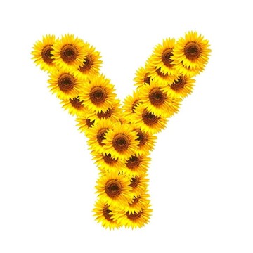 字母的花
