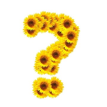 字母的花