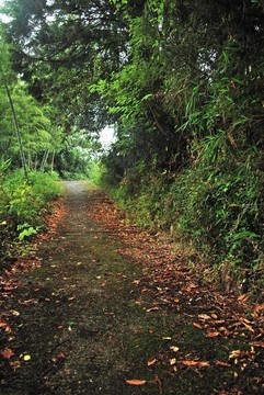 通往光的漫長道路