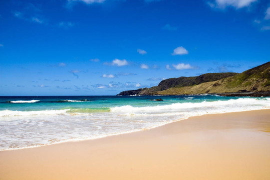 Fernando de Noronha -巴西
