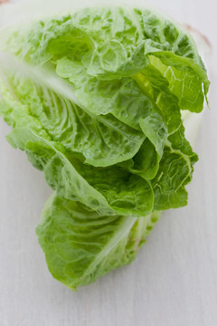 新鮮的生菜