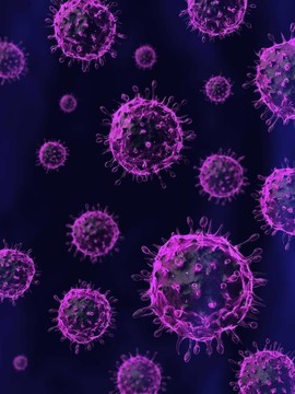 甲型H1N1流感病毒
