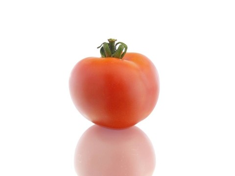 紅番茄