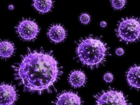 甲型H1N1流感病毒