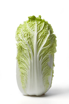 一大白菜