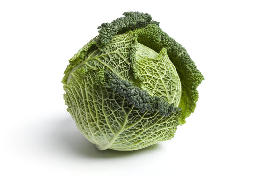 皺葉甘藍