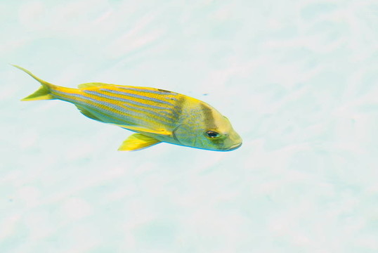 水族館