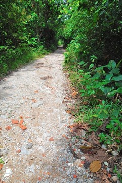 漫長(zhǎng)的道路通向無(wú)處