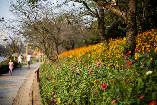 公園