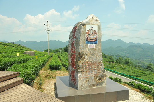 湖北恩施宣恩伍家臺(tái)貢茶茶園