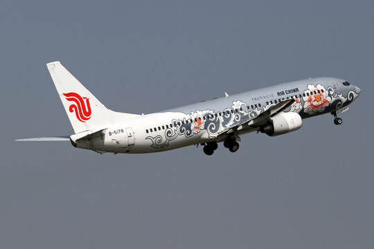 國(guó)航牡丹號(hào)彩繪飛機(jī)起飛