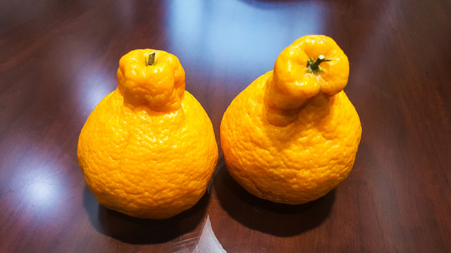 丑柑