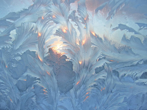 Frost和孫