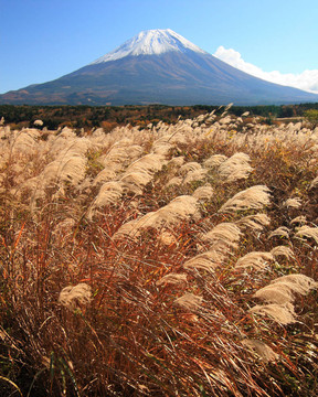 秋天的富士山
