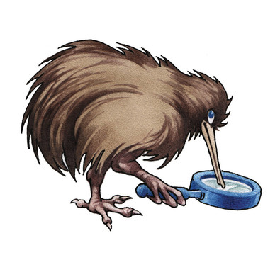 幾維鳥