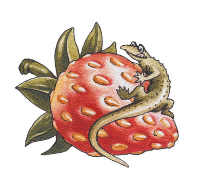 這只蜥蜴坐在草莓上