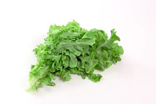 綠色的菠菜