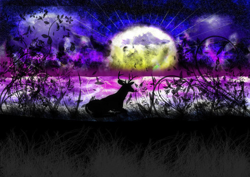 奇幻星球