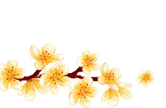 櫻花