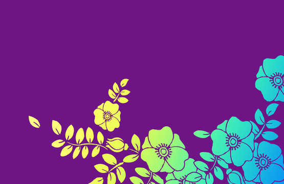 紫色背景的花