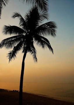 Palma。海灘上的日落。