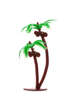 白色棕櫚樹(shù)圖