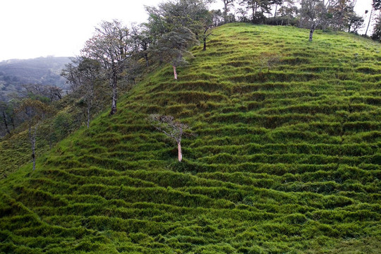 Mountains在圣若澤；哥斯達(dá)黎加