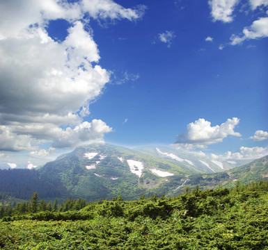 山