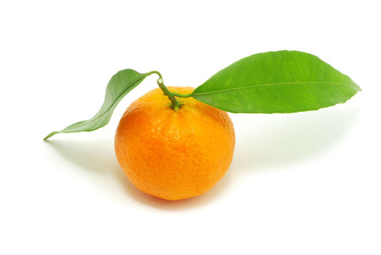 Tangerine夜店