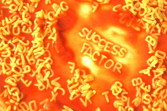 商業(yè)上的成功