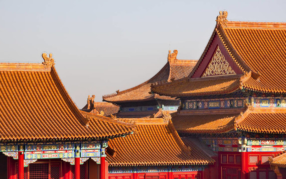 黃色的屋頂故宮紫禁城palacebeijing中國