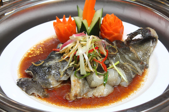 多寶魚