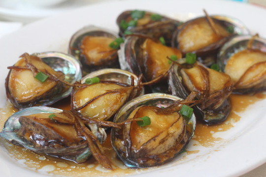 鮑魚仔