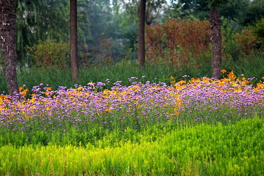 花園
