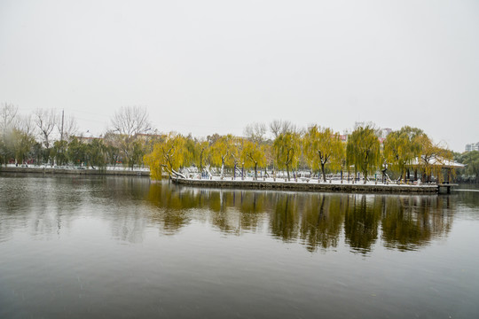 雪后的水景公園
