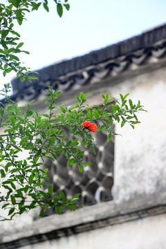 江南