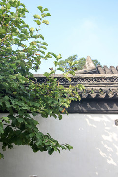 獅子林