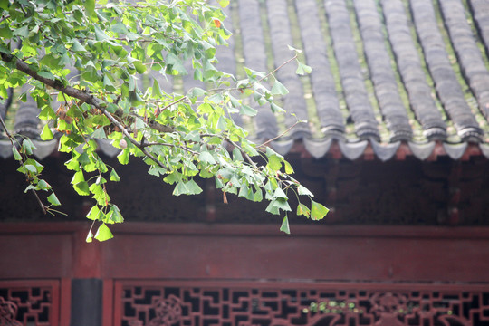 江南