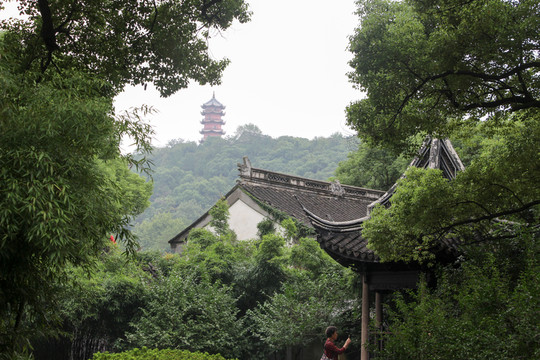江南