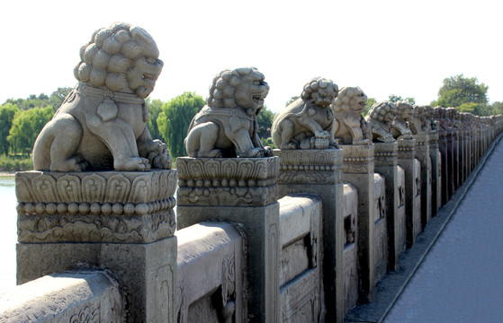 盧溝橋石獅子