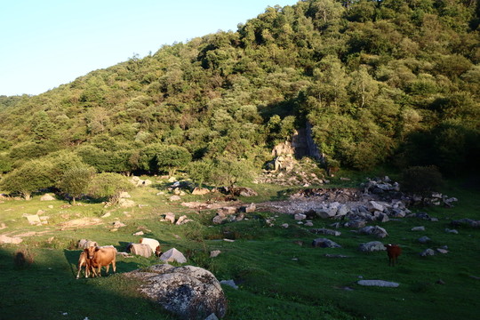 關(guān)山牧場(chǎng)