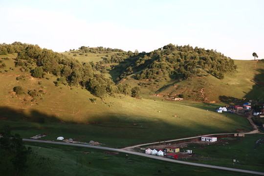 關(guān)山牧場
