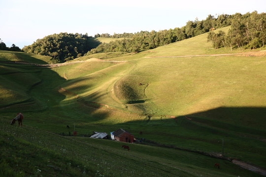 關(guān)山牧場