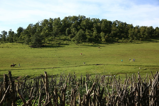 關(guān)山牧場