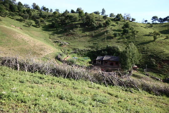 關(guān)山牧場