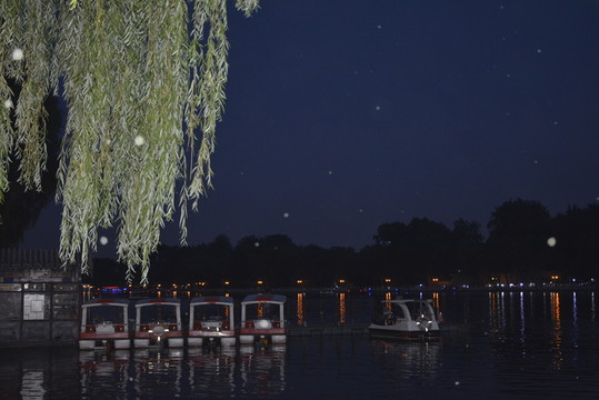 樹影婆娑什剎海夜景