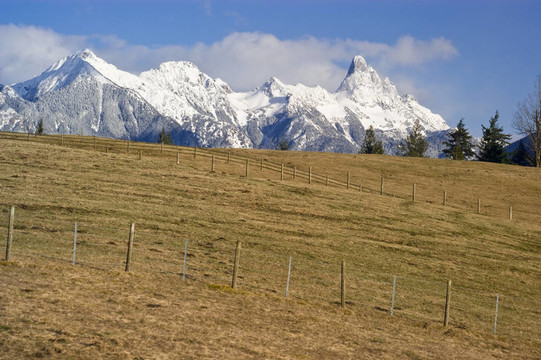 田野和群山