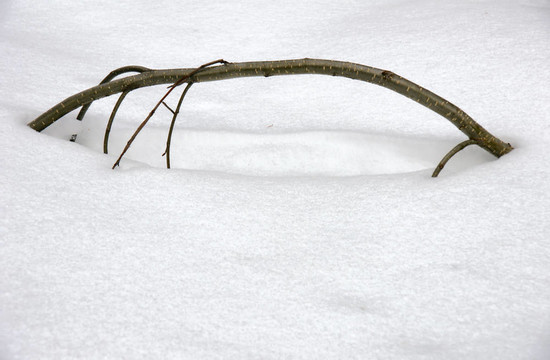 后退的積雪
